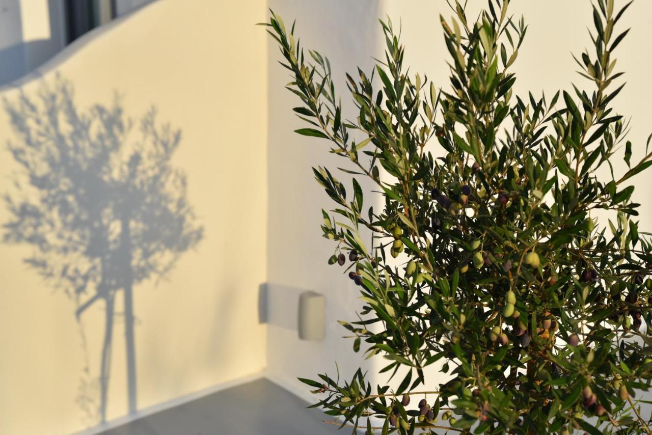 Crystal Mare Suites Naxos City Buitenkant foto